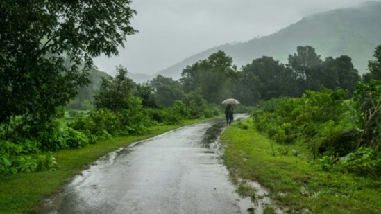 येत्या २४ तासांत मान्सून केरळमध्ये दाखल होणार