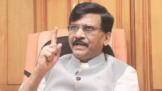 इंडिया आघाडी  सत्ता स्थापनेचा दावा करण्याचा तयारीत आहे. यावर संजय राऊत यांनी सूचक विधान केले आहे. 