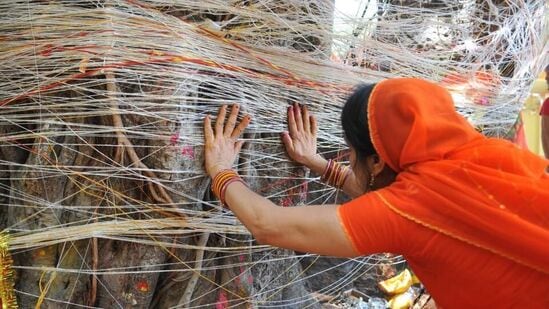 वट सावित्री व्रत, वटपौर्णिमा २०२४