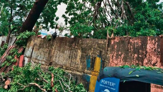 पुण्यात अंगावर झाड कोसळून तरुणाचा मृत्यू