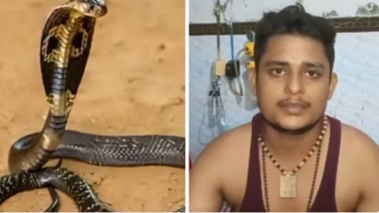या तरुणाला दर आठवड्याला चावत आहे साप