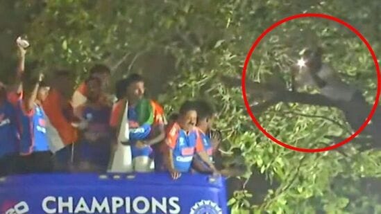 चाहता झाडावर चढून बसला, मोबाईल टॉर्चमुळे दिसला, टीम इंडिया खळखळून हसली, पाहा