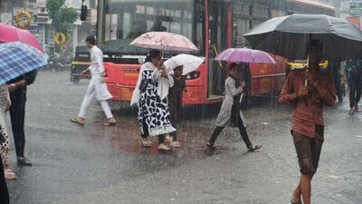 राज्यातील काही भागात अतिवृष्टीचा इशारा; काही ठिकाणी पावसाला विश्रांती