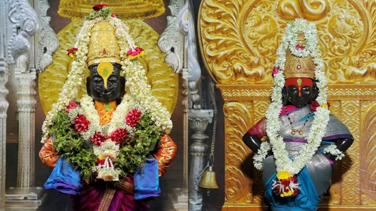 आषाढी एकादशीचा राशींना लाभ