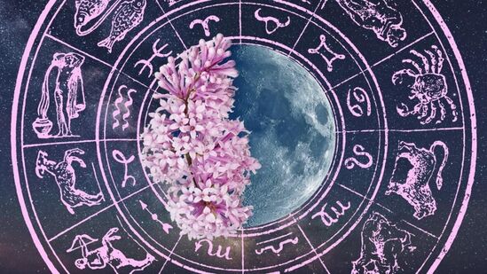 Today Horoscope 17 July 2024 : आज शुक्ल योग व वणिज करण आहे. चंद्रमा मंगळ, गुरू व हर्षलश प्रतियोग करत आहे. कसा असेल देवशयनी एकादशीचा दिवस! वाचा थोडक्यात राशीभविष्य!