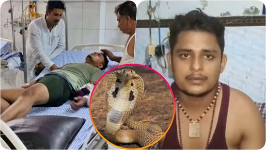 ४० दिवसात ७ वेळा साप चावला? काय आहे सत्य
