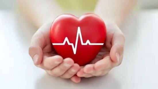 हृदयरोग अनेकदा आधी समजत नाही. मात्र जनजागृतीच्या माध्यमातून या आजारापासून दूर राहणे शक्य आहे. शास्त्रज्ञांच्या मते, आहारात काही बदल करून आपण हृदयरोग आणि हार्ट अटॅकपासून स्वतःचा बचाव करू शकतो.&nbsp;