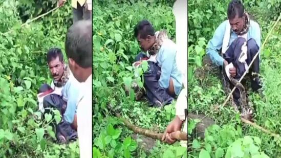  नैसर्गिक विधीसाठी बसलेल्या एकावर तब्बल १३ फूट लांबीच्या अजगराने केला हल्ला! व्हिडिओ पाहून फुटेल घाम