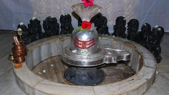 श्रावण महिन्यात भगवान शंकराची पूजा विशेष मानली जाते. सोमवार ५ ऑगस्ट पासून श्रावण महिना सुरू होत आहे.