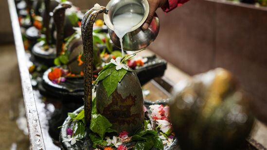 सोमवार ५ ऑगस्ट रोजी, पवित्र श्रावण महिना सुरू होत आहे. शिवपूजा आणि शिवाच्या विशेष आशीर्वादासाठी भाविक मंदिरात गर्दी करतात. शिवपूजेच्या वेळी भांग आणि धोत्र्याला विशेष महत्त्व आहे. भांग आणि धोत्रा भगवान शंकराला अर्पण केले जाते त्याचे महत्त्व काय, जाणून घ्या.&nbsp;