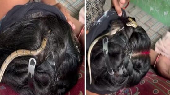 पलंगावर झोपलेल्या महिलेच्या केसात घुसला साप! पुढे जे काही घडलं ते भयंकर; पाहा व्हिडिओ