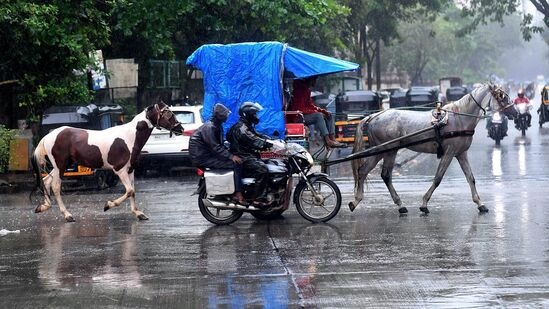 नवी मुंबईत साचलं पाणी