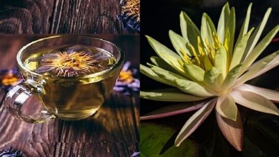 lotus flower tea benefits