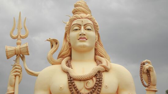 श्रावण महिन्यात कोणती झाडे लावावी, वास्तू टिप्स