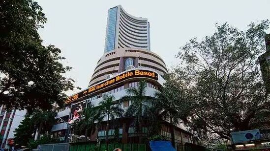 Multibagger Stocks : तुमच्या पोर्टफोिलिओमध्ये असायलाच हवेत हे पाच मिडकॅप मल्टीबॅगर स्टॉक