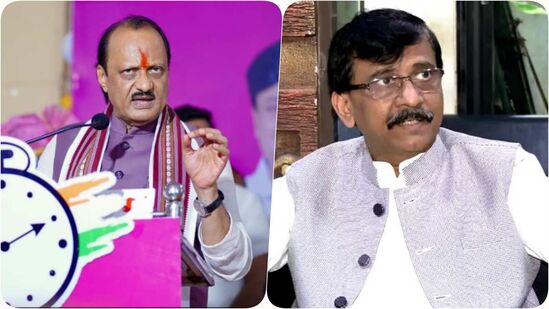पिंक सरडा’ टीकेवर अजित पवार गटाचा संजय राऊतांवर पलटवार
