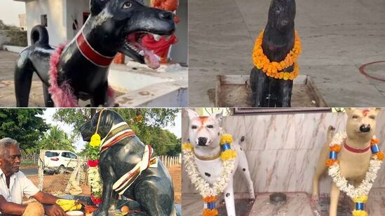 Dog Temples In India : देवी-देवतांची अनेक मंदिरं पाहिली असतील, पण या ठिकाणी होते चक्क कुत्र्यांची पूजा, जाणून घ्या