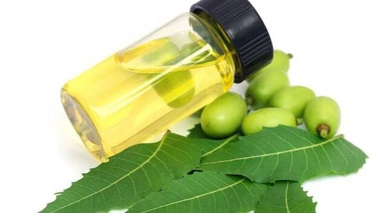 Neem Oil for Hair -  केसांसाठी कडुलिंबाच्या तेलाचे फायदे