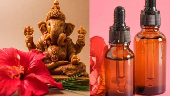 hair care tips - गणपती बाप्पाच्या आवडत्या जास्वंदाच्या फुलापासून तेल बनवण्यासाठी टिप्स