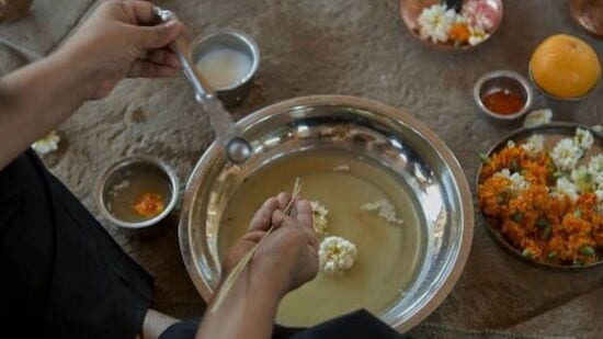 Pitru Paksha 2024 : पितृपक्षात काय करावं आणि काय करू नये? जाणून घ्या सविस्तर