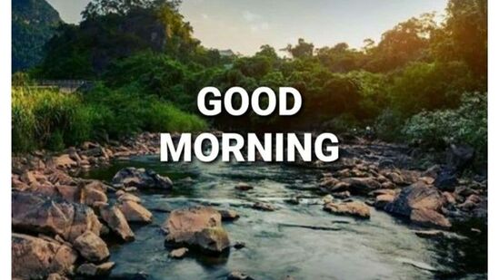 Good Morning Wishes