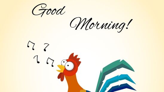 Funny Good Morning