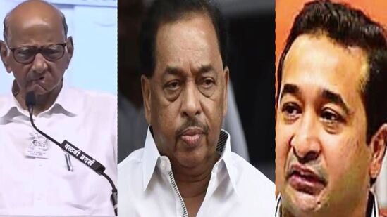 नारायण राणे यांच्या मुलांवर शरद पवार बरसले!