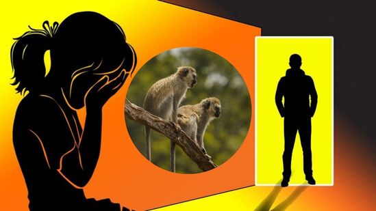 चिमुरडीवर बलात्काराचा प्रयत्न करणाऱ्या नराधमाला माकडांनी पळवलं