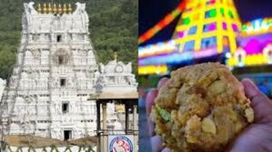तिरुपतीच्या लाडूवर भाविकांचा विश्वास कायम