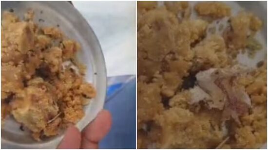 तिरूपती बालाजी येथील लाडूचा वाद संपेना! प्राण्यांच्या चरबी नंतर लाडूमध्ये तंबाखू सापडल्याचा भक्ताचा दावा; व्हिडिओ व्हायरल