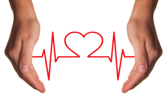 world heart day 2024