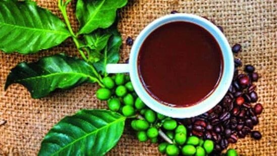 International Coffee Day: ग्रीन कॉफी पिण्याचे फायदे