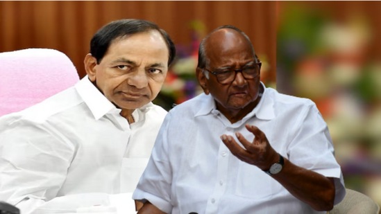 शरद पवारांचं बळ वाढणार! 