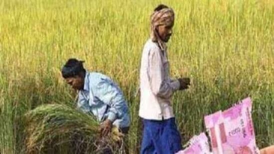 PM Kisan Yojana : पीएम किसानचा हफ्ता खात्यात कधी येणार? वाचा