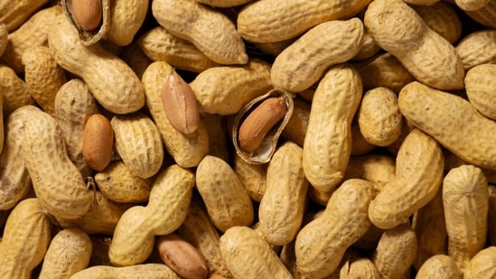 प्रथिने, फायबर आणि चरबी व्यतिरिक्त, शेंगदाण्यामध्ये अनेक जीवनसत्त्वे आणि खनिजे असतात, ज्यामुळे पोटाचे आरोग्य सुधारते. यामध्ये फायबर असते, जे मधुमेहाच्या रुग्णांसाठी फायदेशीर आहे. प्रथिने, फायबर आणि चरबी व्यतिरिक्त, शेंगदाण्यामध्ये अनेक जीवनसत्त्वे आणि खनिजे असतात, ज्यामुळे पोटाचे आरोग्य सुधारते. यामध्ये फायबर असते, जे मधुमेहाच्या रुग्णांसाठी फायदेशीर आहे. 