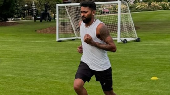 वर्कआउटसोबतच हार्दिक त्याच्या डाएटबाबतही चांगलाच सक्रिय असतो. तो सहसा बाहेरचे खाण्यापेक्षा घरी शिजवलेले अन्न खाणे पसंत करतो.