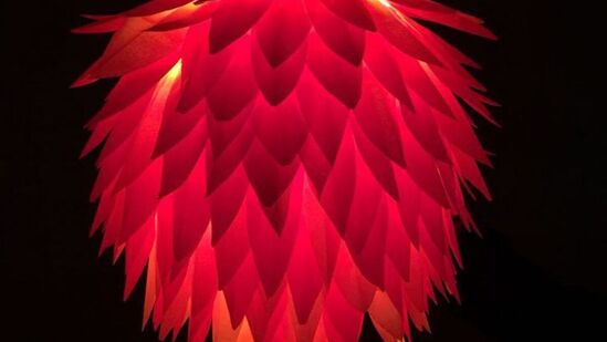 यासाठी घरावर लाइटिंग करतात. पणत्या लावतात. घरासमोर रांगोळी काढतात.&nbsp;