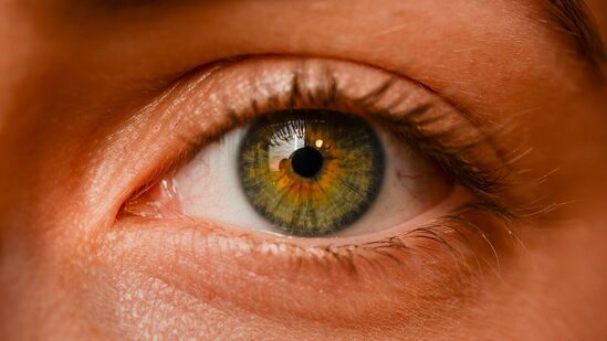 दिवाळीच्या काळात फटाक्यांमुळे होणाऱ्या प्रदूषणापासून डोळ्यांचे रक्षण करणे अत्यंत आवश्यक आहे. कारण, फटाक्यांमध्ये गनपावडर आणि अनेक प्रकारचे हानिकारक पदार्थ असतात. त्याच्या धुरामुळे डोळ्यांची जळजळ, संसर्ग आणि इतर गंभीर समस्या उद्भवू शकतात. दिवाळीच्या काळात फटाक्यांमुळे होणाऱ्या प्रदूषणापासून डोळ्यांचे रक्षण करणे अत्यंत आवश्यक आहे. कारण, फटाक्यांमध्ये गनपावडर आणि अनेक प्रकारचे हानिकारक पदार्थ असतात. त्याच्या धुरामुळे डोळ्यांची जळजळ, संसर्ग आणि इतर गंभीर समस्या उद्भवू शकतात.