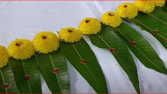 मुख्य प्रवेशद्वार सजावट :&nbsp;दिवाळीत मुख्य दरवाजाच्या सजावटीला विशेष महत्त्व आहे,&nbsp;कारण ती देवी लक्ष्मीच्या स्वागताचे प्रतीक मानली जाते. मुख्य प्रवेशद्वारावर रांगोळी तयार करून आंब्याची पाने व फुलांच्या&nbsp;माळांनी&nbsp;सजवा. असे केल्याने घरात सकारात्मक ऊर्जेचा संचार होतो आणि देवी लक्ष्मी घरात आनंदाने वास करते असे मानले जाते.