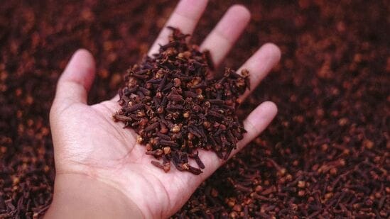 Clove Water Benefits In Marathi