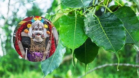 दर्श अमावस्या आणि शनिवार संयोग