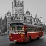 महापरिनिर्वान दिनानिमित्त चैत्यभूमीला जाणाऱ्यांसाठी 'बेस्ट'चा बेस्ट निर्णय, दादरमधून दर १५ मिनिटाला सुटणार बस महापरिनिर्वान दिनानिमित्त चैत्यभूमीला जाणाऱ्यांसाठी 'बेस्ट'चा बेस्ट निर्णय, दादरमधून दर १५ मिनिटाला सुटणार बस