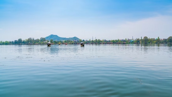 लोकटक तलाव- लोकटक तलाव मणिपूरमध्ये आहे. लोकटक तलावाला गोड्या पाण्याचे तलाव असेही म्हणतात. या तलावाच्या सौंदर्यामुळे तुमचा सर्व ताण कमी होऊ शकतो. तलावात फेरफटका मारल्याने मन शांत होते.&nbsp;