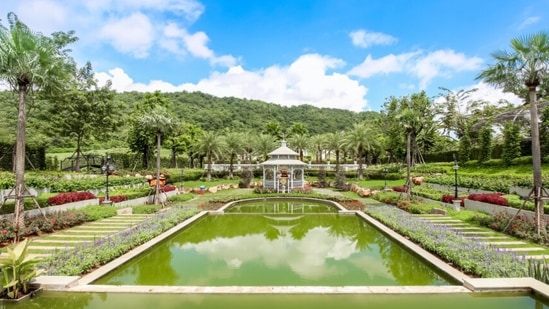 ही उद्याने अनेक शहरांमध्ये खूप लोकप्रिय आहेत. प्रत्येकाचा स्वतःचा इतिहास आहे. जर तुम्हाला तुमच्या भटकंतीच्या यादीत कोणतीही बाग समाविष्ट करायची असेल, तर तुम्ही आमची यादी पाहू शकता. तुम्ही भारतातील या सुंदर उद्यानांबद्दल वाचू शकता आणि तुमच्या पुढच्या ट्रीपसाठी इथे जाण्याचा प्लॅन करू शकता. ही उद्याने अनेक शहरांमध्ये खूप लोकप्रिय आहेत. प्रत्येकाचा स्वतःचा इतिहास आहे. जर तुम्हाला तुमच्या भटकंतीच्या यादीत कोणतीही बाग समाविष्ट करायची असेल, तर तुम्ही आमची यादी पाहू शकता. तुम्ही भारतातील या सुंदर उद्यानांबद्दल वाचू शकता आणि तुमच्या पुढच्या ट्रीपसाठी इथे जाण्याचा प्लॅन करू शकता. 