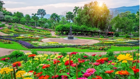  इंदिरा गांधी ट्यूलिप गार्डन, श्रीनगरसुंदर दल सरोवराच्या पार्श्वभूमीवर, इंदिरा गांधी मेमोरियल ट्यूलिप गार्डन हे भारतातील एक प्रकारचे उद्यान आहे. हे श्रीनगरमधील जबरवान पर्वतरांगेच्या पायथ्याशी वसलेले आहे. आशियातील सर्वात मोठे ट्यूलिप गार्डन म्हणून हे प्रसिद्ध आहे. 48 प्रकारची ट्युलिप फुलं इथे पाहायला मिळतात. इंदिरा गांधी ट्यूलिप गार्डन, श्रीनगरसुंदर दल सरोवराच्या पार्श्वभूमीवर, इंदिरा गांधी मेमोरियल ट्यूलिप गार्डन हे भारतातील एक प्रकारचे उद्यान आहे. हे श्रीनगरमधील जबरवान पर्वतरांगेच्या पायथ्याशी वसलेले आहे. आशियातील सर्वात मोठे ट्यूलिप गार्डन म्हणून हे प्रसिद्ध आहे. 48 प्रकारची ट्युलिप फुलं इथे पाहायला मिळतात.