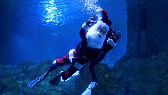 चेन्नईत ख्रिसमससेलिब्रेशनचा एक भाग म्हणून सांताक्लॉजच्या वेशभूषेत एका डायव्हरने व्हीजीपी मरीन किंग्डममध्ये येणाऱ्या जाणाऱ्यांना ख्रिसमसच्या शुभेच्छा दिल्या. &nbsp;