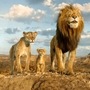 Mufasa The Lion King (Disney via AP) Mufasa The Lion King (Disney via AP)