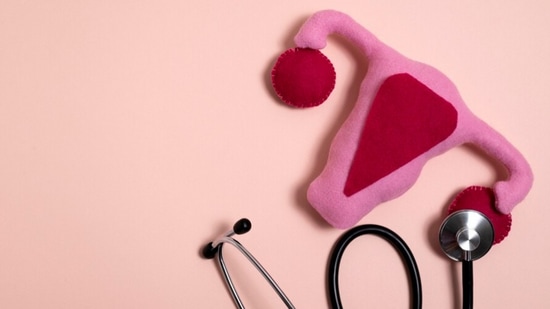 ओटीपोटात वेदना-गर्भाशयात सौम्य जळजळ झाली तरीही, महिलांना पेल्विक क्षेत्रात सतत अस्वस्थता जाणवू शकते. या काळात त्यांना सौम्य किंवा असह्य वेदना जाणवू शकतात. त्याच वेळी, मासिक पाळीच्या दरम्यान ही वेदना खूप वाढते. अशा परिस्थितीत एकदा डॉक्टरांचा सल्ला घ्यायला विसरू नका. ओटीपोटात वेदना-गर्भाशयात सौम्य जळजळ झाली तरीही, महिलांना पेल्विक क्षेत्रात सतत अस्वस्थता जाणवू शकते. या काळात त्यांना सौम्य किंवा असह्य वेदना जाणवू शकतात. त्याच वेळी, मासिक पाळीच्या दरम्यान ही वेदना खूप वाढते. अशा परिस्थितीत एकदा डॉक्टरांचा सल्ला घ्यायला विसरू नका.