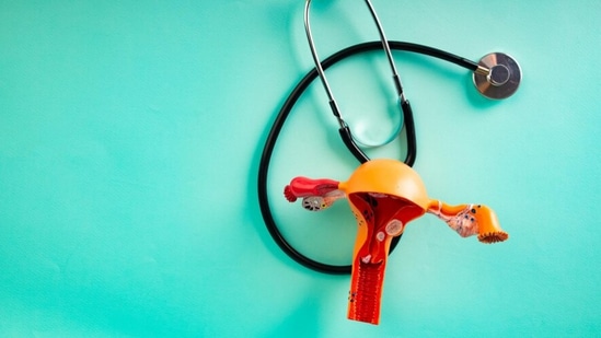 अनियमित रक्तस्त्राव-जर तुम्हाला मासिक पाळीच्या तारखेशिवाय रक्तस्त्राव होत असेल, तर अशा लक्षणांकडे दुर्लक्ष करू नका. गर्भाशयात जळजळ झाल्यामुळे अशी चिन्हे असू शकतात. मुख्यतः, रजोनिवृत्ती असूनही, जर तुम्हाला अशी लक्षणे दिसली तर तुम्ही त्याकडे दुर्लक्ष करणे टाळावे. अनियमित रक्तस्त्राव-जर तुम्हाला मासिक पाळीच्या तारखेशिवाय रक्तस्त्राव होत असेल, तर अशा लक्षणांकडे दुर्लक्ष करू नका. गर्भाशयात जळजळ झाल्यामुळे अशी चिन्हे असू शकतात. मुख्यतः, रजोनिवृत्ती असूनही, जर तुम्हाला अशी लक्षणे दिसली तर तुम्ही त्याकडे दुर्लक्ष करणे टाळावे.