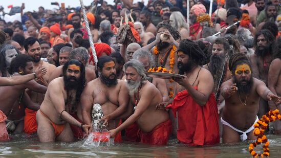 टिळा, काजळ, फुलांची माळ, पायात कडे हे पुढील महत्वाचे श्रृंगार आहेत. नागा साधू नेहमी त्यांच्या कपाळावर एक लांब टिळा लावतात, जे शिवभक्तीचे प्रतीक मानले जाते. ते डोळ्यांना काजळ किंवा सुरमा लावतात. कंबरेभोवती फुलांची माळा घालतात, पायात लोखंडी किंवा चांदीचे कडे घालतात.&nbsp;